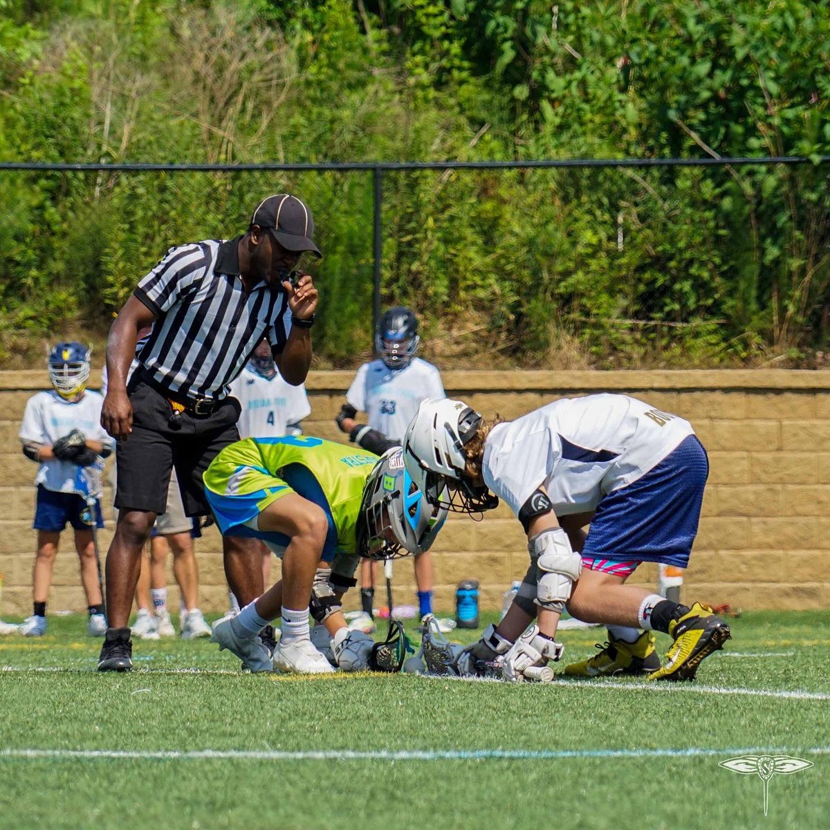 Georgia Swarm Professional Lacrosse tweet media
