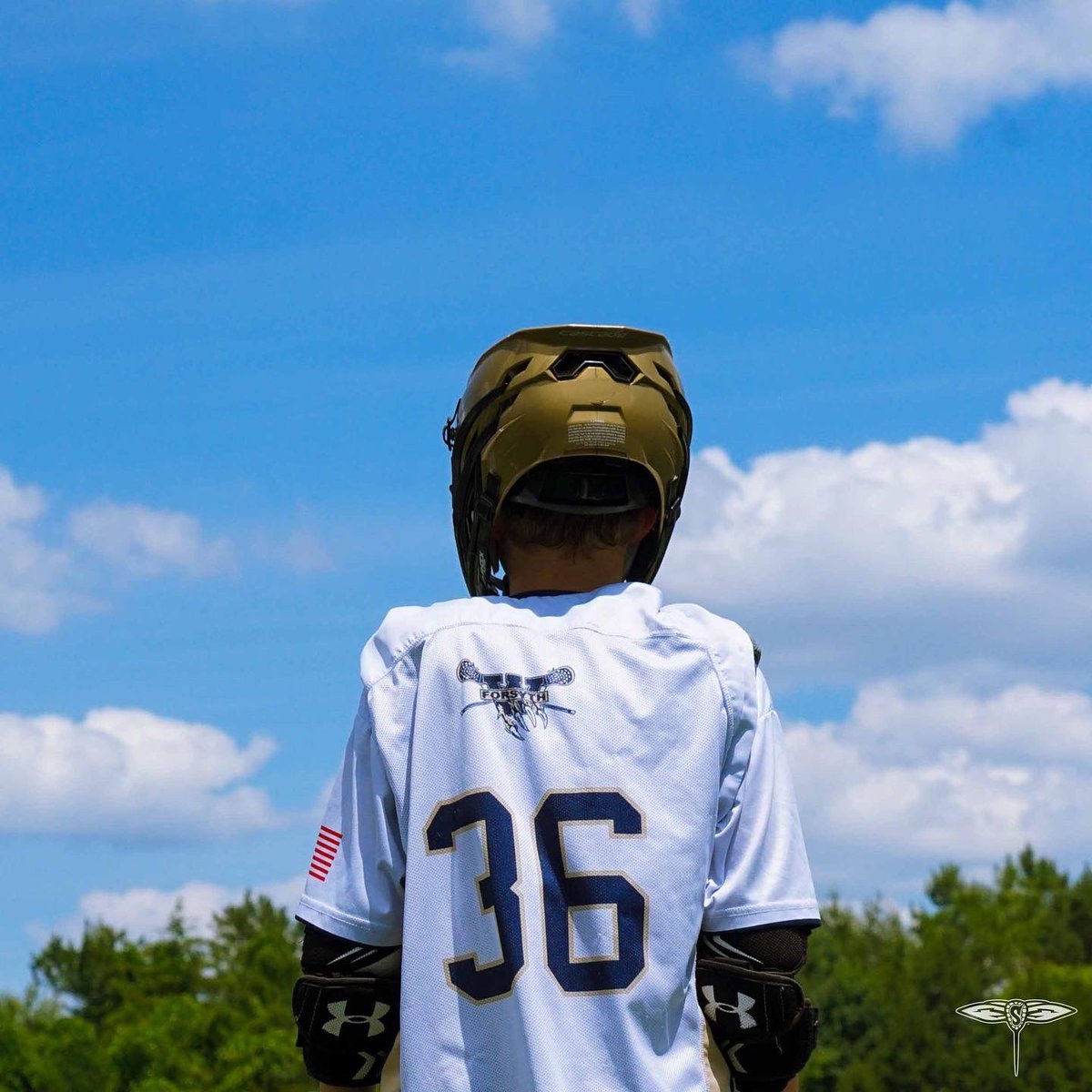 Georgia Swarm Professional Lacrosse tweet media