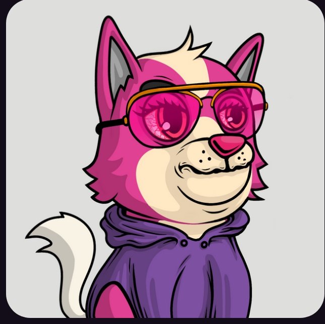 tonnieofficial's tweet photo. Woof woof🐶 @HachiDogenz https://t.co/oS0muHyVru