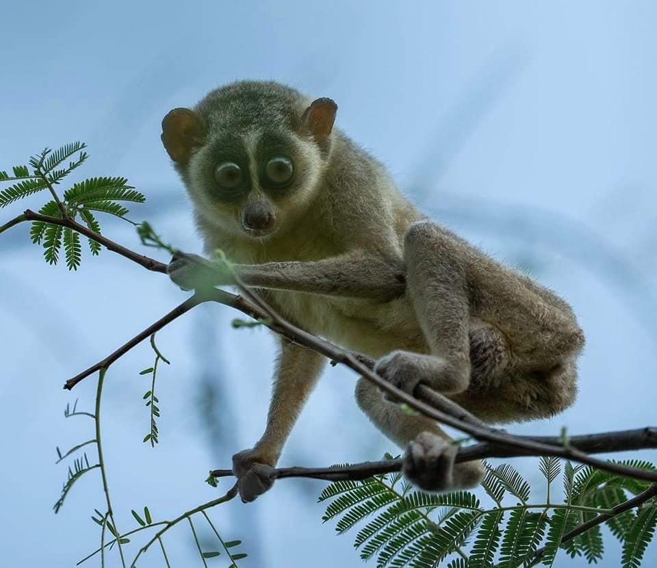 ⛎Ð♓@¥🅰️⛅ tweet media