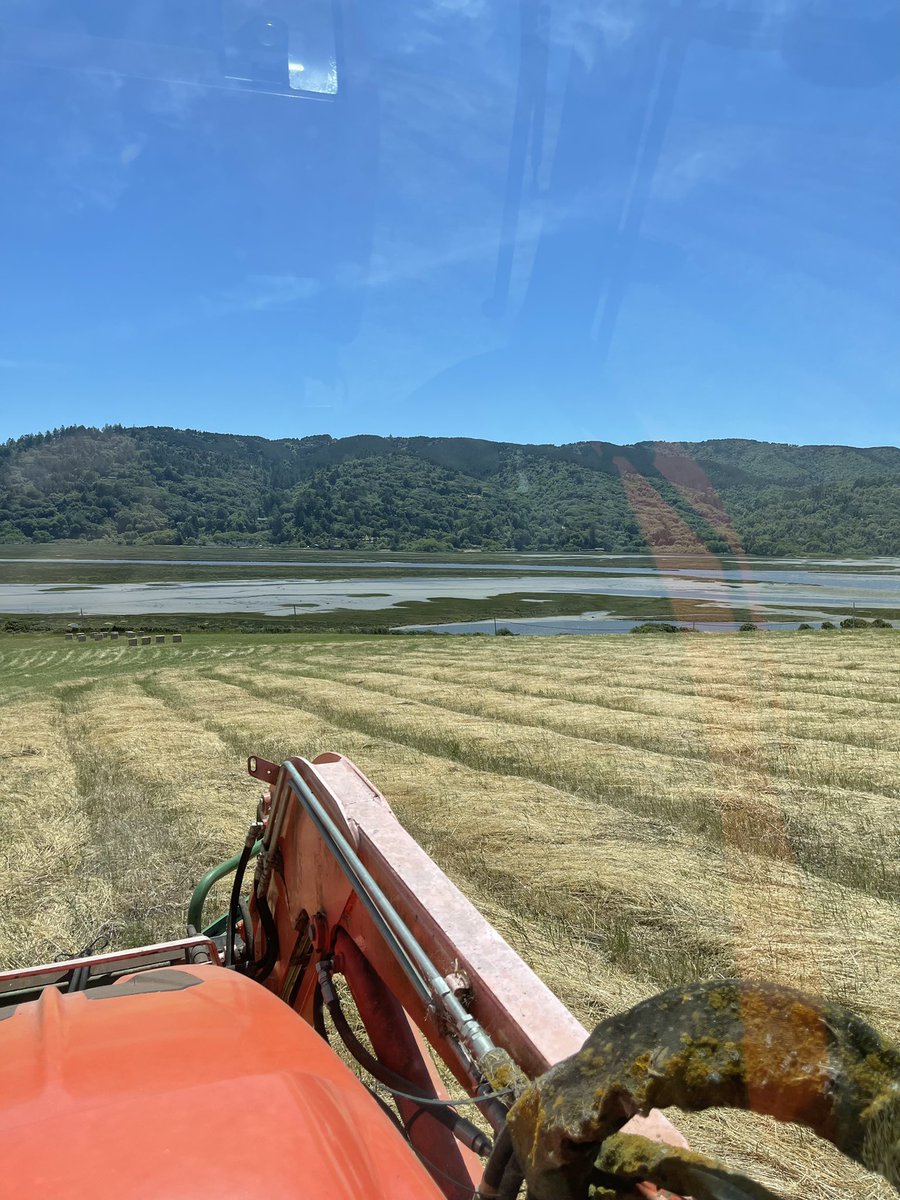 Follow me to Western Weekend in Point Reyes Station!

*Taste our flagship cheese- Mendonça, and support local 4-H by visiting the kids at Toby’s Feedbarn*

#westernweekendbound
#supportlocalbusinesses
#clapyourhandsduringtheparade
#makenewfriends
#trythecheese
#pasturetodowntown