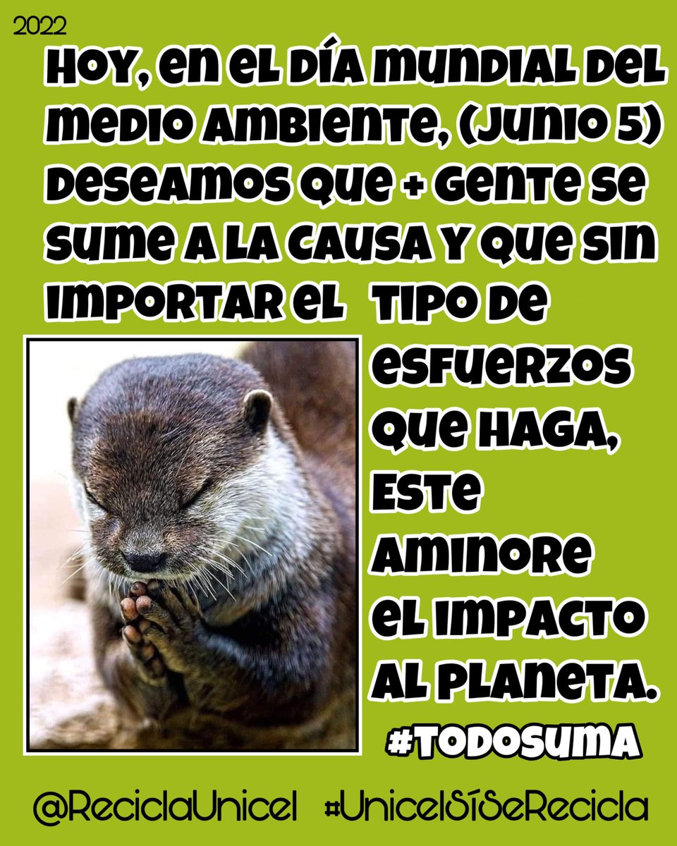 reciclaunicel's tweet photo. Todos tenemos algo de ambientalistas,pero los contextos,tiempo, recursos y el nivel de compromiso varían.
Hoy lo hemos decidido conmemorar, pidiendo que más gente se sume, se comprometa, pero sobretodo que actúe en pro del medio ambiente #TodoSuma 
#DiaMundialDelMedioAmbiente https://t.co/bknA3ar3Ag