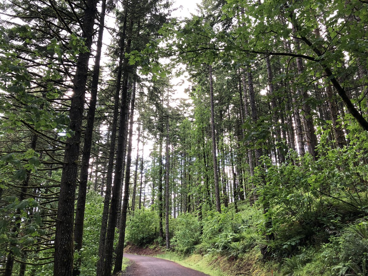 Brian Knaus tweet media