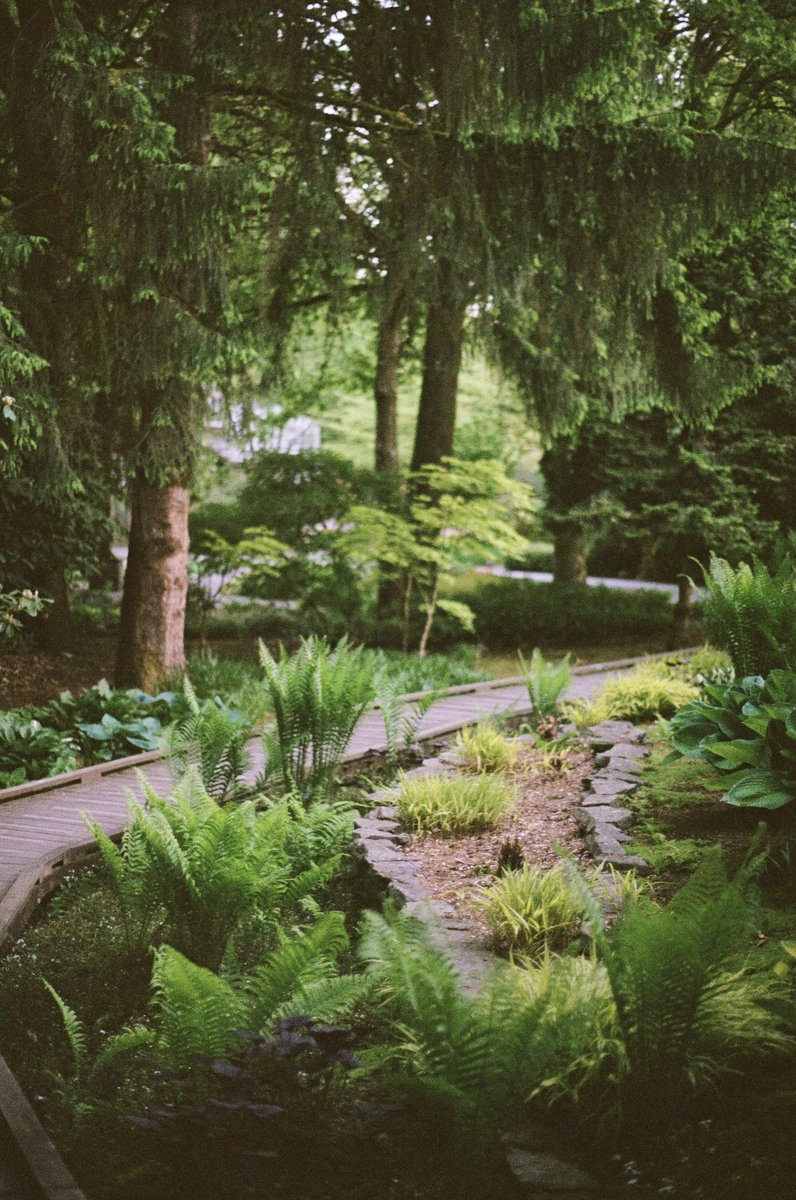 PerfDisaster's tweet image. Honestly nature gives me a boner every time