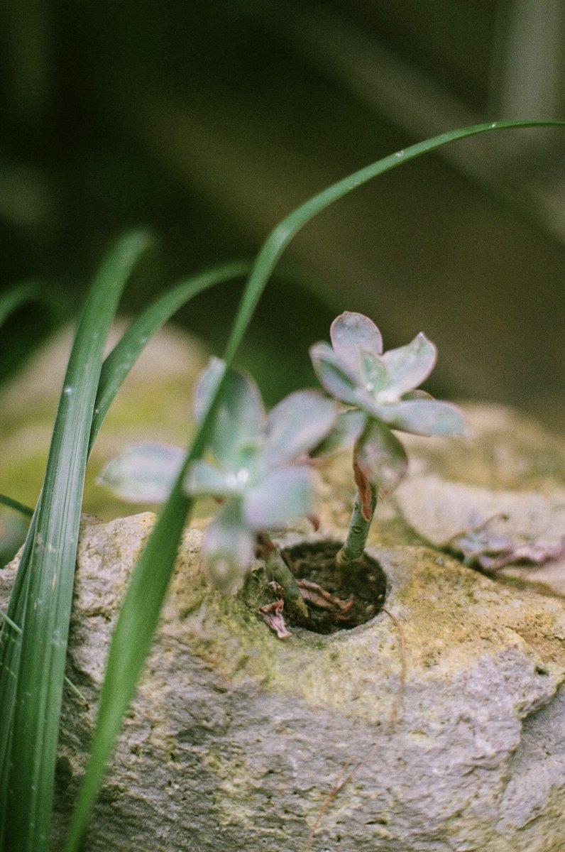 PerfDisaster's tweet image. Honestly nature gives me a boner every time