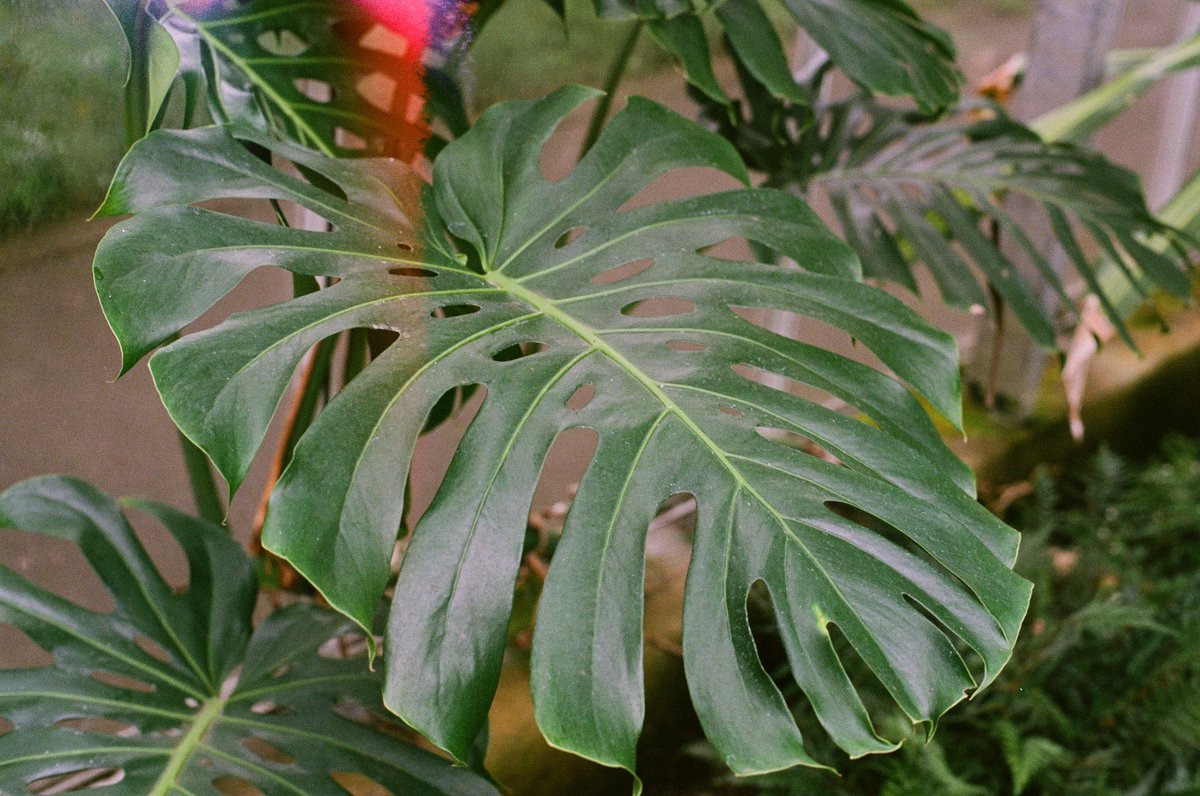 PerfDisaster's tweet image. Honestly nature gives me a boner every time