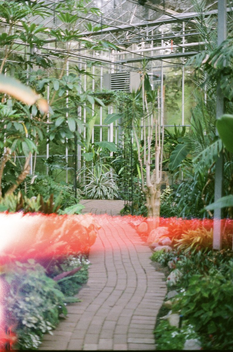 PerfDisaster's tweet image. Honestly nature gives me a boner every time