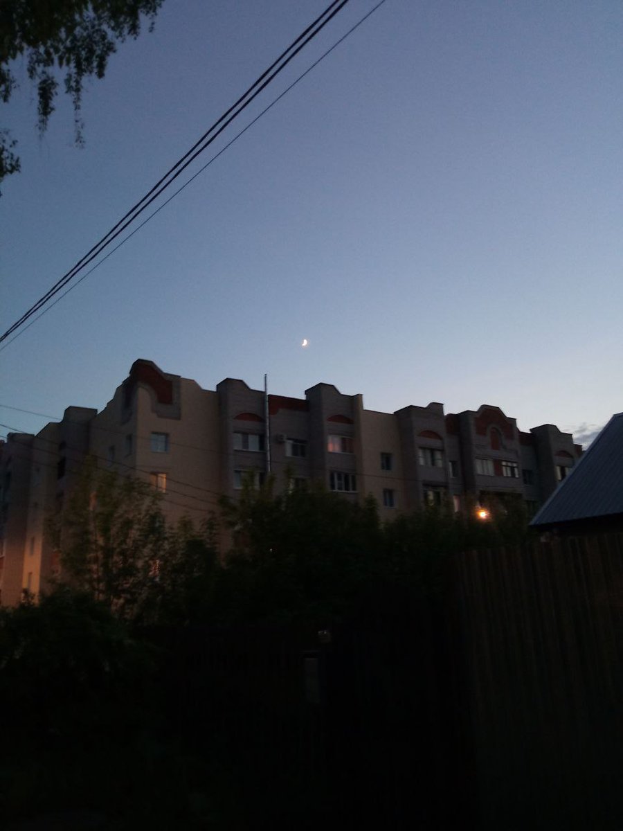 Сегодня гуляли с подругой и её собакой, я сделала как по мне прекрасные фото, такие атмосферные