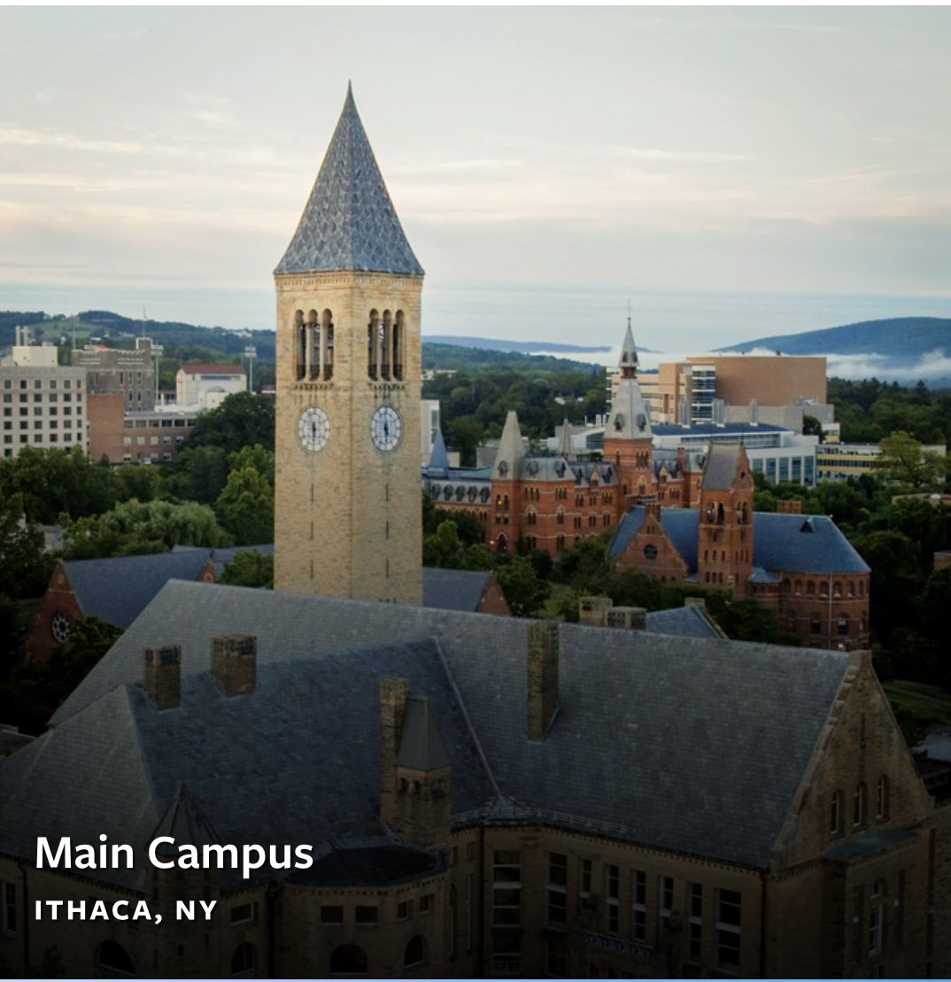 Ayden McCarter tweet media