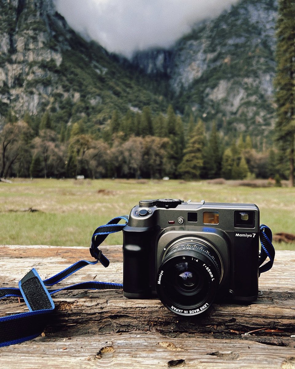 Chef_Carnahan's tweet photo. the camera 🤝 the photos #mamiya7 https://t.co/CJh6aWE37s
