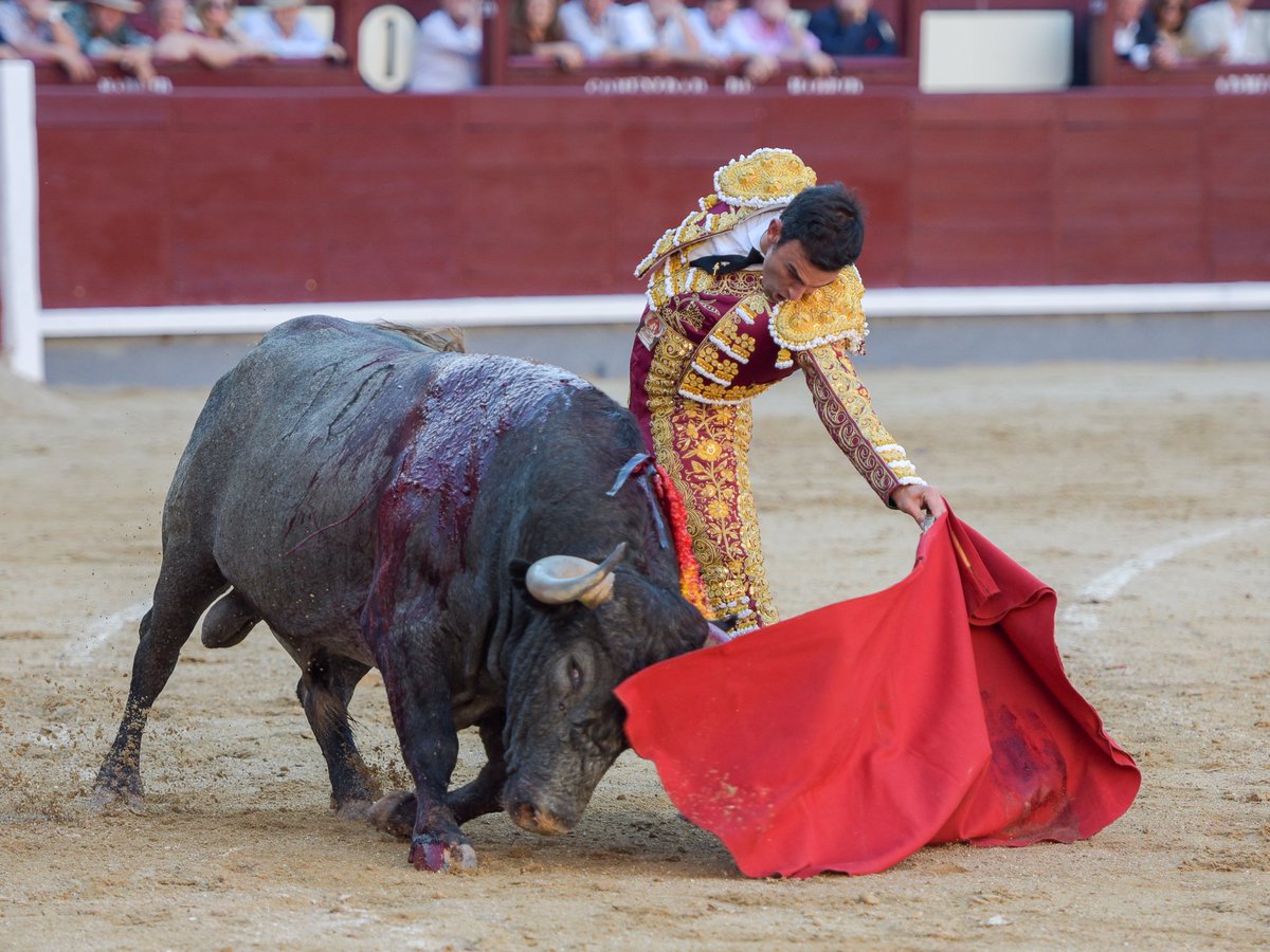 Uno de los naturales de <a href="/SergioSerrano85/">Sergio Serrano</a> a "Garañuelo" de <a href="/victorinotoros/">Victorino Martin</a>

Foto: <a href="/alvaroramirezdc/">Álvaro Ramírez 📸</a> <a href="/burladerotv/">Burladero</a>