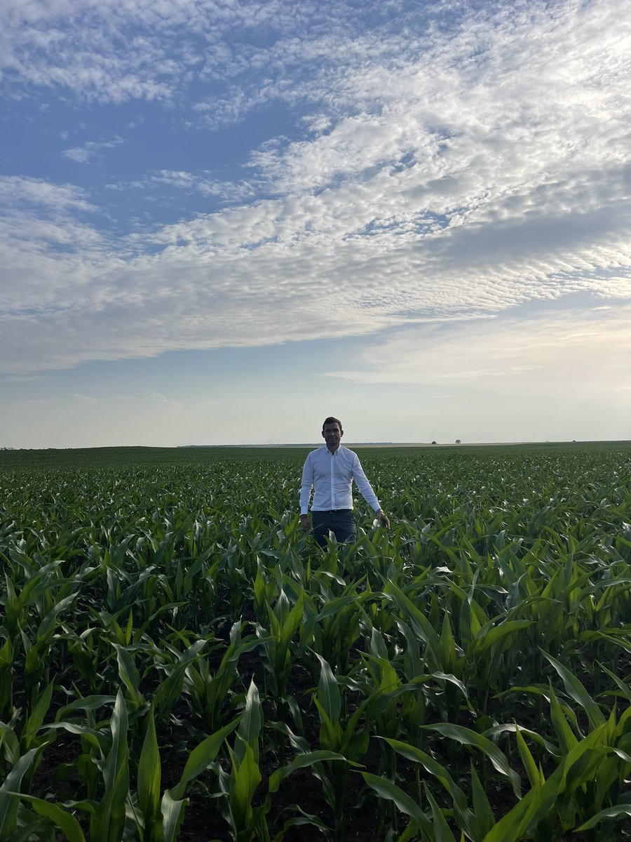 StefanStanescu's tweet photo. Corn and Popcorn 04.06.2022 #agriculture #farming https://t.co/5is5rlRwgR