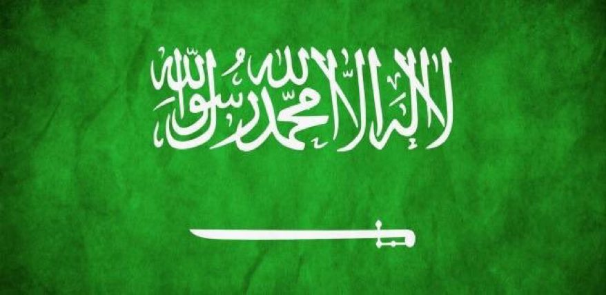 <a href="/SaudiNVG/">العمل التطوعي</a> <a href="/ncnp_sa/">المركز الوطني لتنمية القطاع غير الربحي</a> هنا مكن الخلل - نعمل تحت أي جهة - 
#التطوع_البيئي ليس كأي نوع من  #العمل_التطوعي لتشرف على إدارته أي جهة لمجرد توفيرها للفرص‼️
توجيهكم يحملكم مسؤولية تسرب المتطوعين
وشاهدنا مؤخر الوقت ليس عائق لإتخاذ قرار⁉️
نناشد بجمعية على مستوى #السعودية يحوي #الروابط_الخضراء
<a href="/Ahmed_S_Alrajhi/">أحمد سليمان الراجحي</a>