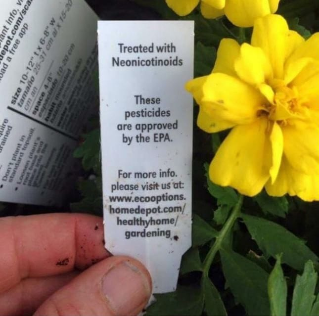 SueSuezep's tweet image. Do not buy plants treated with Neonicotinoids. Bees take the pollen back to the hive and feed it to the brood. This is a number one cause of the colony collapse. Neonicotinoids are mostly banned in Europe