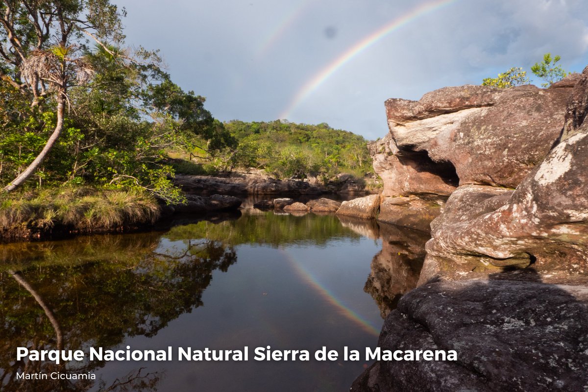 ParquesColombia's tweet photo. En el mundo somos el país número 1⃣ en aves, orquídeas y 🦋, 2⃣ en plantas, anfibios y peces dulceacuícolas, 3⃣ en palmas y reptiles, y 6⃣ en mamíferos.

Sobran los motivos para dejar los plásticos de un solo uso y con orgullo hacer del #DíaMundialDelMedioAmbiente todos los días. https://t.co/iZnpqYY8Xn