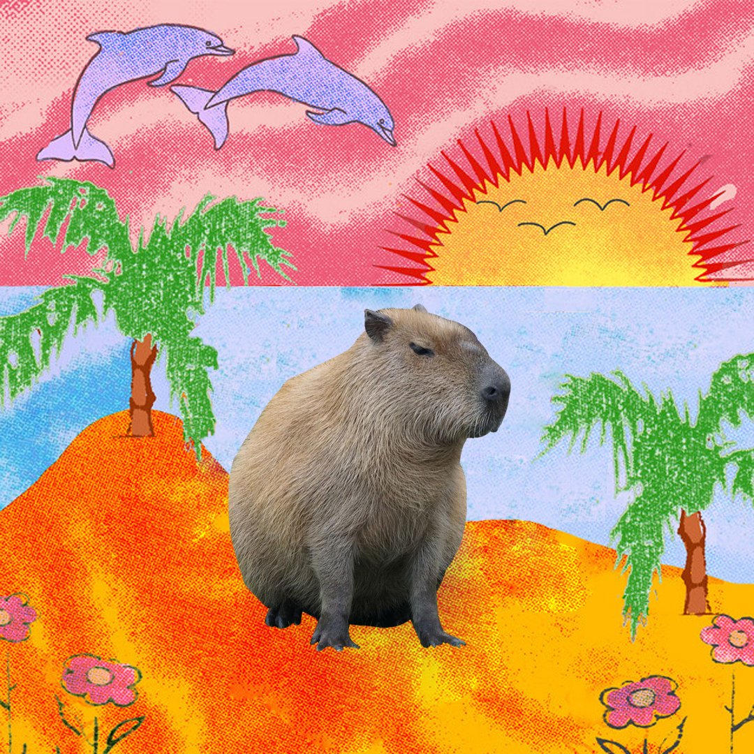 Luro Pomito tweet media