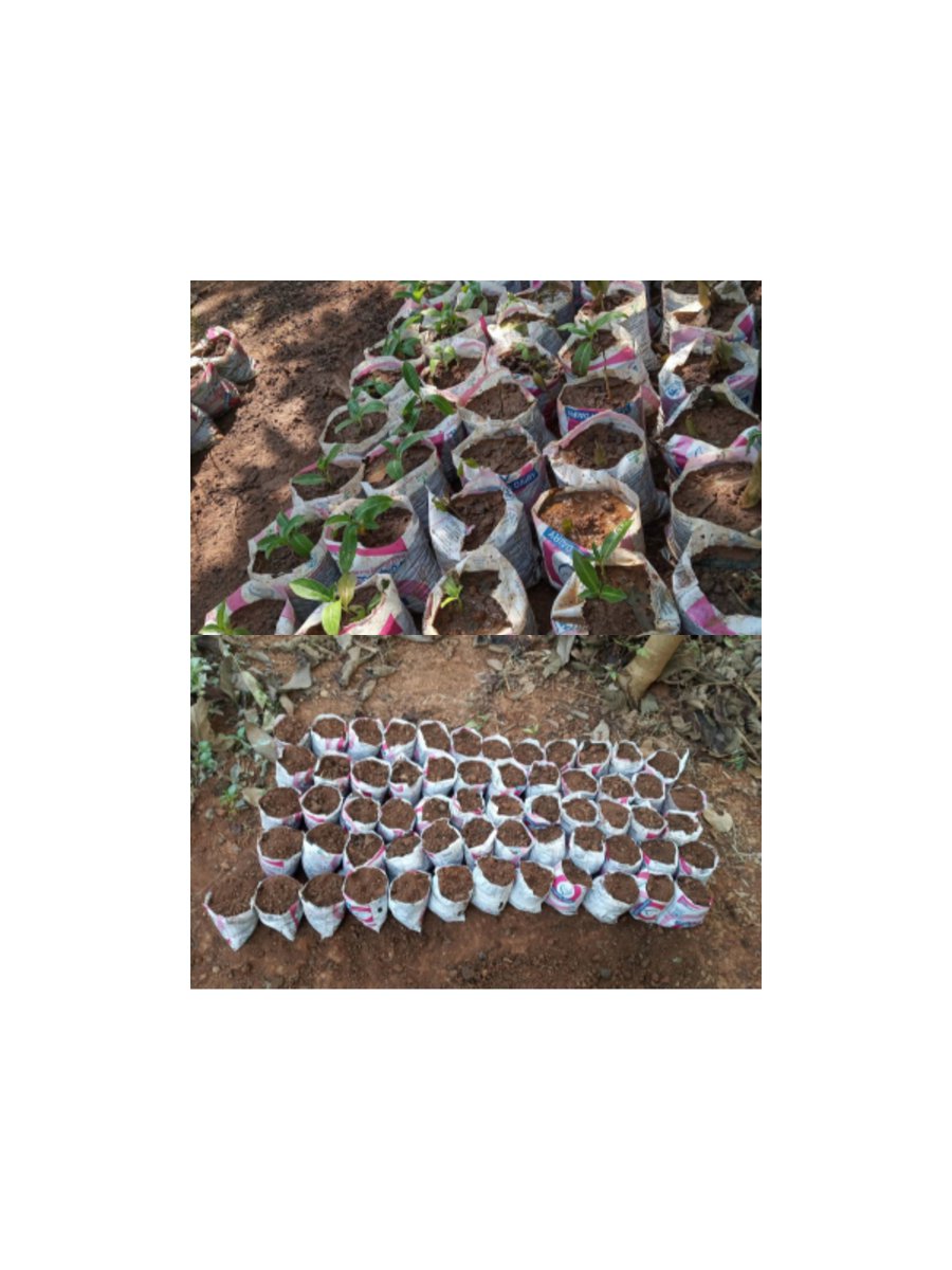 Indira Gandhi Zoological Park, Visakhapatnam (@vizagzoo_igzp) on Twitter photo Little things matters a lot!
Have a look, on environmental friendly intiatives taken by the zoo management. #WorldEnvironmentDay2022
#OnlyOneEarth
Let's Go Green, Reduce, Reuse, Recycle♻
<a href="/CZA_Delhi/">Central Zoo Authority</a> <a href="/moefcc/">MoEF&CC</a> <a href="/NandaniSalaria/">Nandani Salaria</a> @wii_envis <a href="/DEFCCOfficial/">Department of Environment, Forest & Climate Change</a> <a href="/EU_ENV/">EU Environment</a> <a href="/wxwows/">Our Planet Earth 🌍</a> Little things matters a lot!
Have a look, on environmental friendly intiatives taken by the zoo management. #WorldEnvironmentDay2022
#OnlyOneEarth
Let's Go Green, Reduce, Reuse, Recycle♻
<a href="/CZA_Delhi/">Central Zoo Authority</a> <a href="/moefcc/">MoEF&CC</a> <a href="/NandaniSalaria/">Nandani Salaria</a> @wii_envis <a href="/DEFCCOfficial/">Department of Environment, Forest & Climate Change</a> <a href="/EU_ENV/">EU Environment</a> <a href="/wxwows/">Our Planet Earth 🌍</a>
