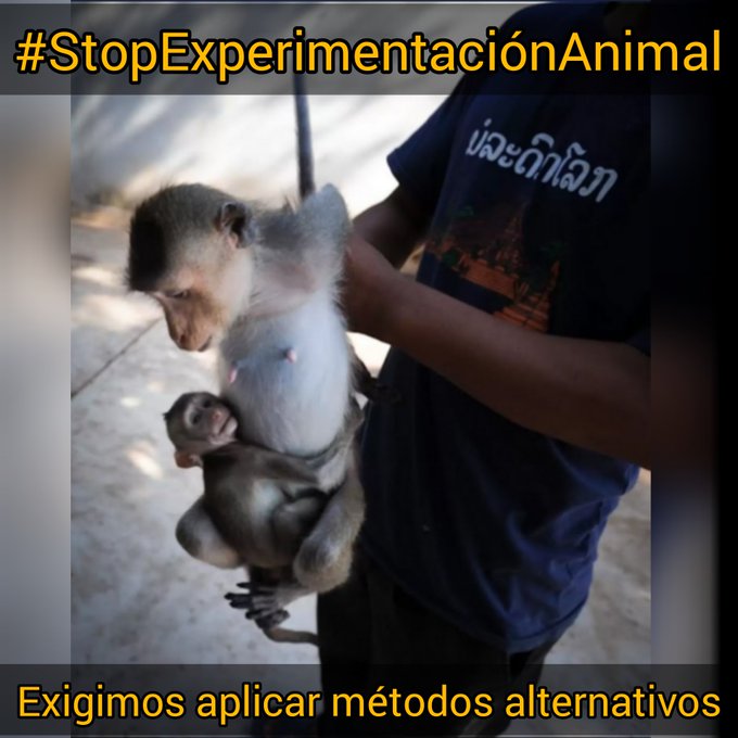 Jorju 🌱 tweet media