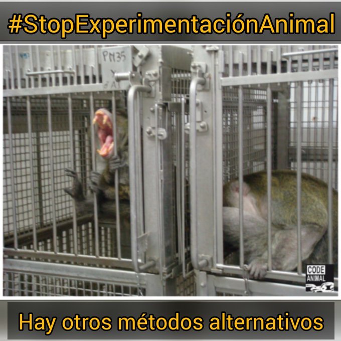 Jorju 🌱 tweet media