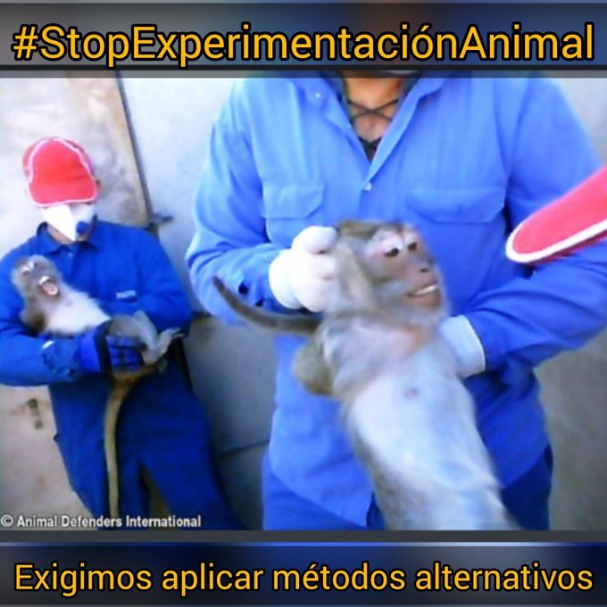 Jorju 🌱 tweet media