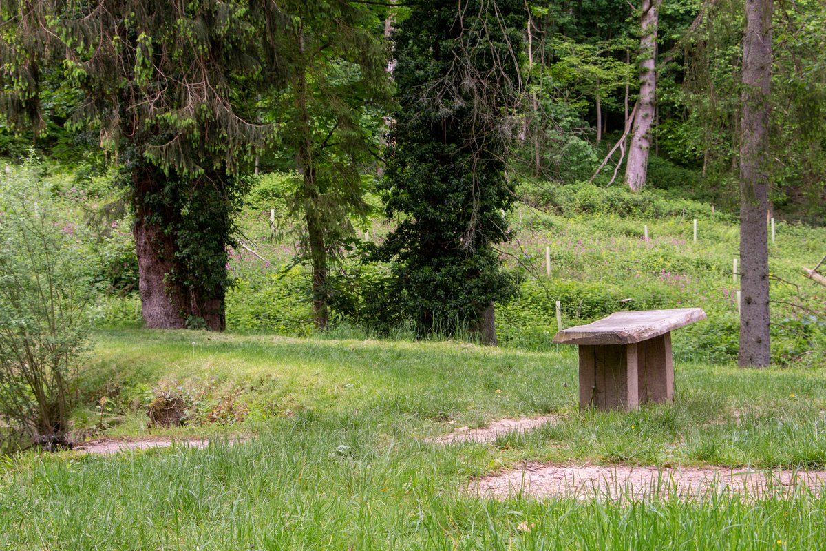 Nothing beats a picnic in the parkland on a summer's day. There are so many picnic spots to choose from. Which is your favourite? Download a map before you arrive to help you find your way around: nt.global.ssl.fastly.net/documents/maps… #visitherefordshire #picnic #summer #fishpoolvalley