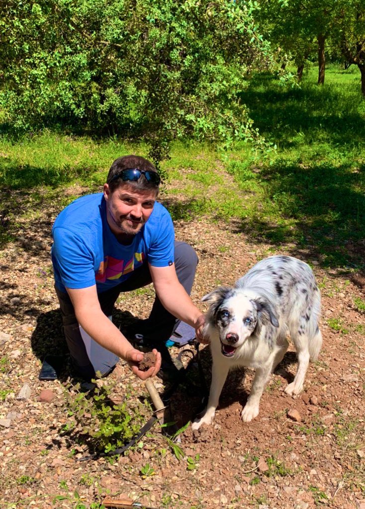 OriolFerrer8's tweet photo. Final exam of truffle dog course passed at #Prades. Surprised with what your pet can achieve with training and perseverance. Thanks to @TofonadelaConca, @canlaurafranc, and the amazing group of participants!#truffles #tofones #trufas https://t.co/3HWyoRvTTP