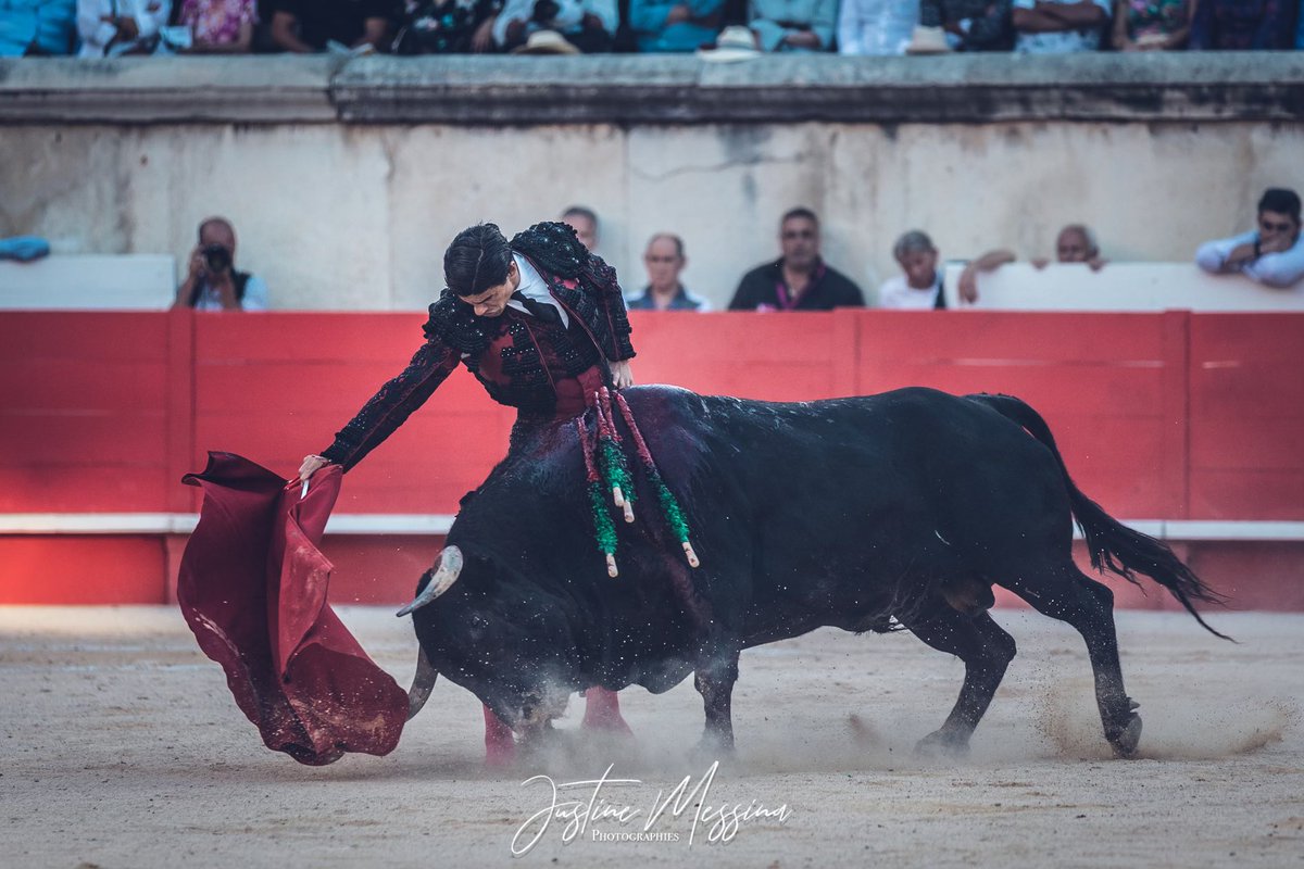 #Nîmes 🇫🇷 6️⃣ | Se cierra la tarde con silencio para Pablo Aguado y palmas en arrastre para el toro de Jandilla.

📸 <a href="/Justine_Messina/">Justine Messina</a>