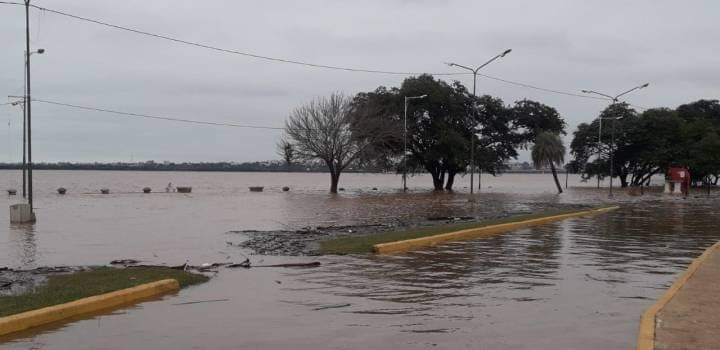 #corrientes | 10 EVACUADOS Y ALERTA EN PASO DE LOS LIBRES

📍 #pasodeloslibres 

⚠️ Paso de los Libres, Corrientes. 10 evacuados. 
Continúa en etapa de alerta, se espera que el río Uruguay comience a descender