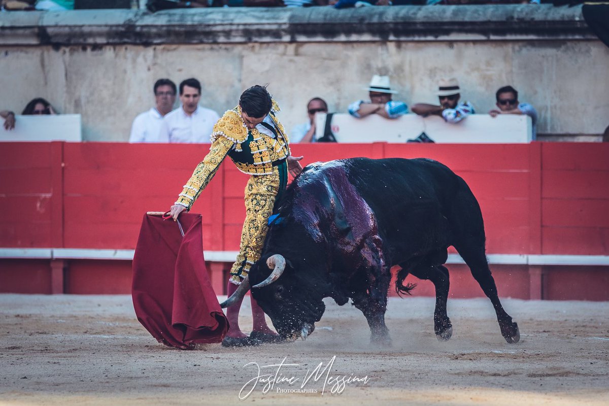 #Nîmes 🇫🇷 5️⃣ | Palmas para Juan Ortega tras lidiar al quinto. Palmas en arrastre el toro de Jandilla.

📸 <a href="/Justine_Messina/">Justine Messina</a>