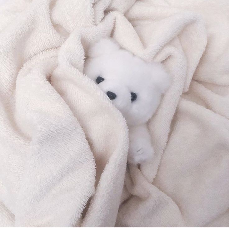 VictoriaDean_'s tweet image. ㅤ ㅤ     𝐕𝐈𝐂𝐓𝐎𝐑𝐈𝐀 𝐃𝐄𝐀𝐍 ⤸
ㅤㅤㅤㅤ••··──────
                 ⟬𓏬 2003 
                 ⟬𓏬 Heterosexual 
                 ⟬𓏬 𝙾𝙽𝙻𝚈𝙵𝙰𝙽𝚂

               𑁍̤⤻Creativa 
                    𑁍̤⤻𝙲𝙰𝚃ʟօʋɛʀ
                         𑁍̤⤻Dulce