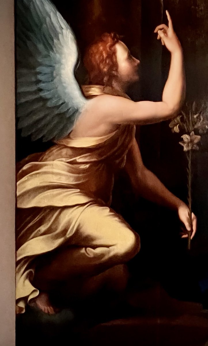 bertemi's tweet image. 