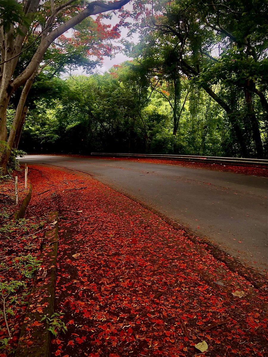 castesalva's tweet photo. No es el destino, sino el camino. https://t.co/tkne3cl7qE