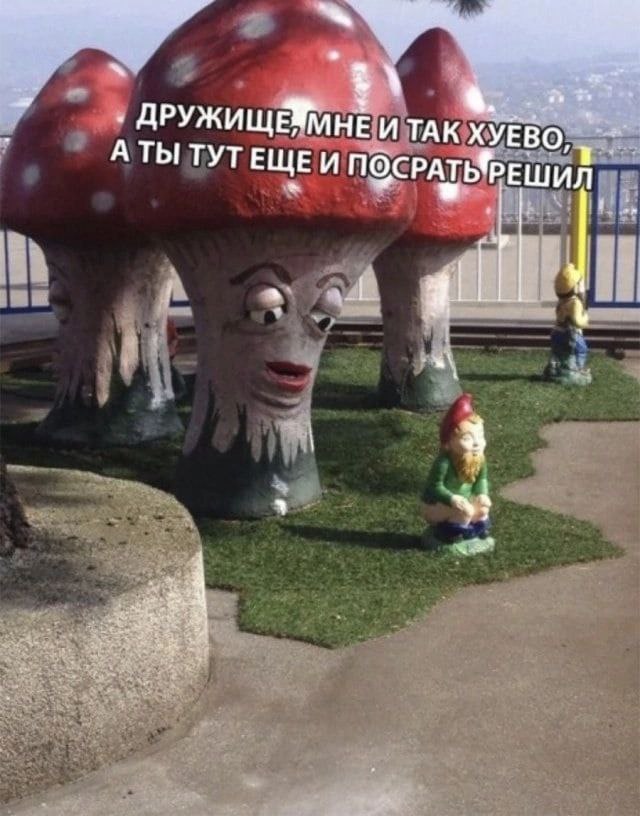 VlajniyIosif's tweet photo. буквально я и мой кот https://t.co/PTbUpEadFT