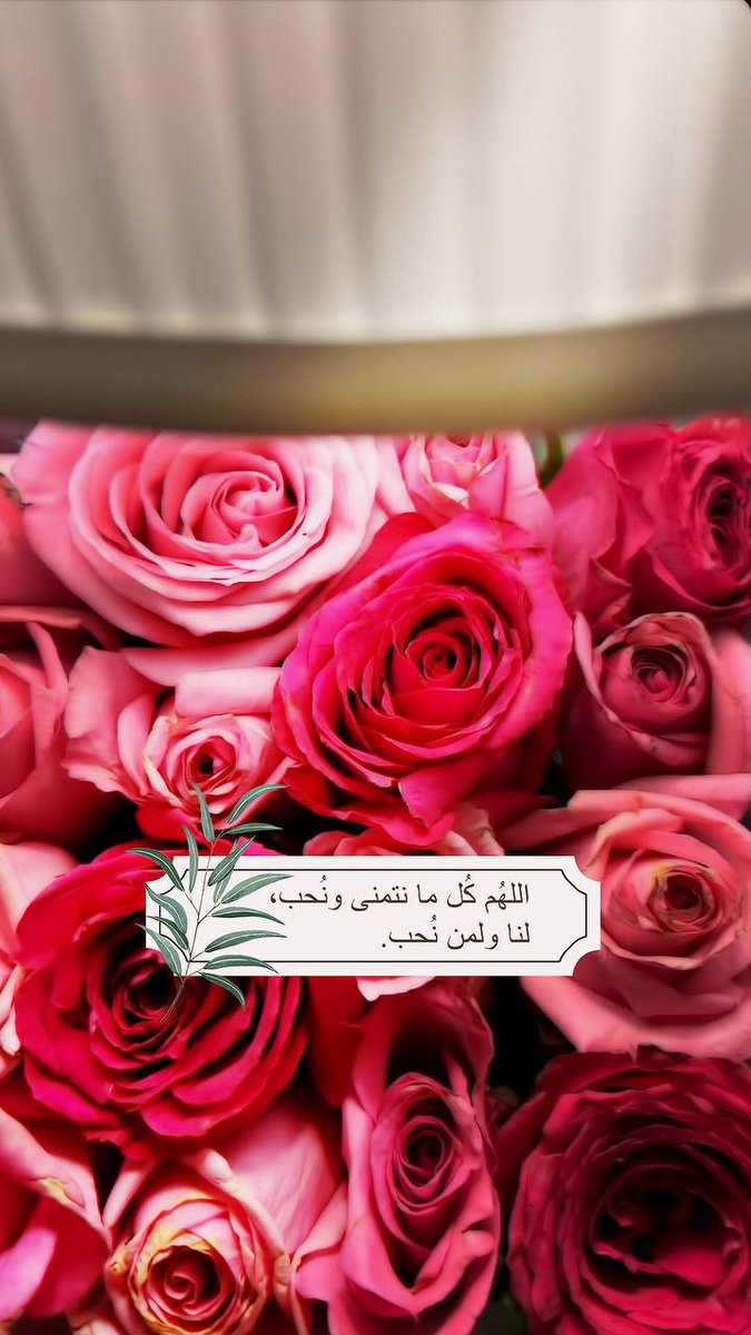 Alool03 tweet picture