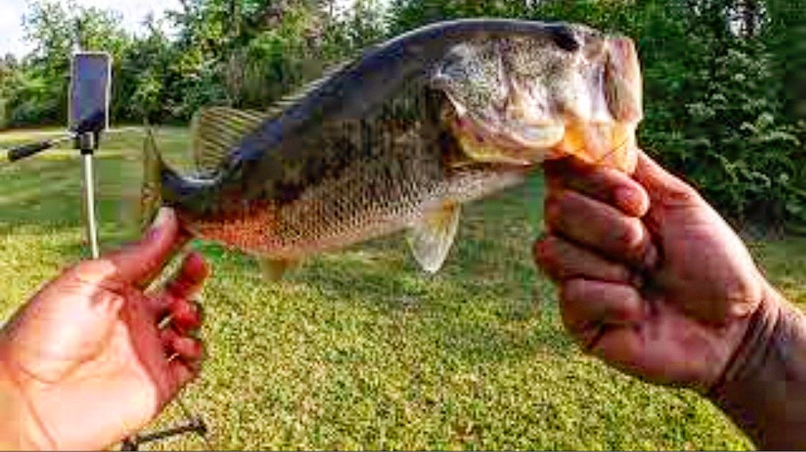 bobbyho24758954's tweet photo. New video out! Decided to go live and record at the same time! Great results #hk2productions #fishing #youtube
https://t.co/aKMhPbmCUe https://t.co/ZG7MMid434