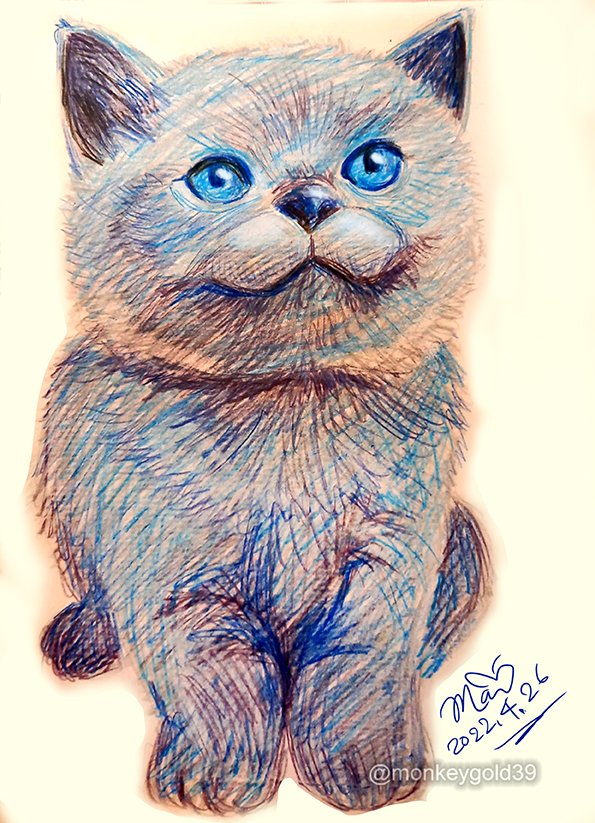 mao9938's tweet photo. #pet #art #hand_draw #color_pencil #cat #cute #blue_cat https://t.co/XfKGnyruVs