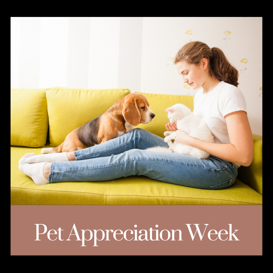 ForYourFurKids's tweet photo. Pet Appreciation Week June 5th - 11th! 🐶🐈

Show your fur kids how much you love them! https://t.co/dYhd5ZS1BY