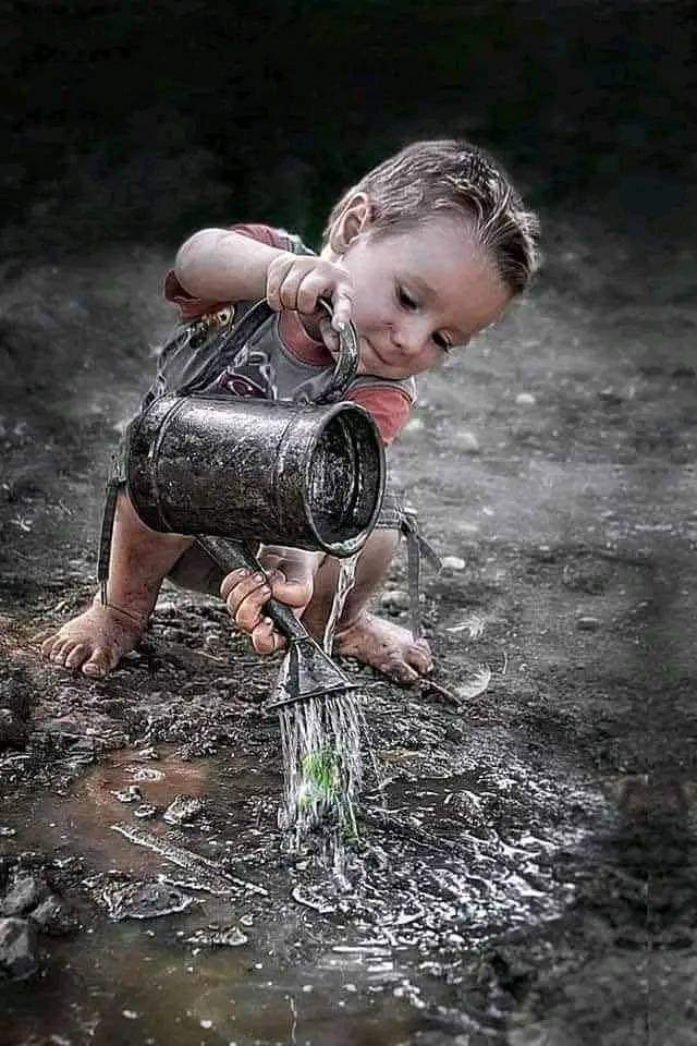 مهما كانت الظروف صعبة وغير متوافقة ! اسقي نبتتك فعند ازدهارها ستكون اقوى واشد عودا ! لأنها تجاوزت المشقة والصعاب...