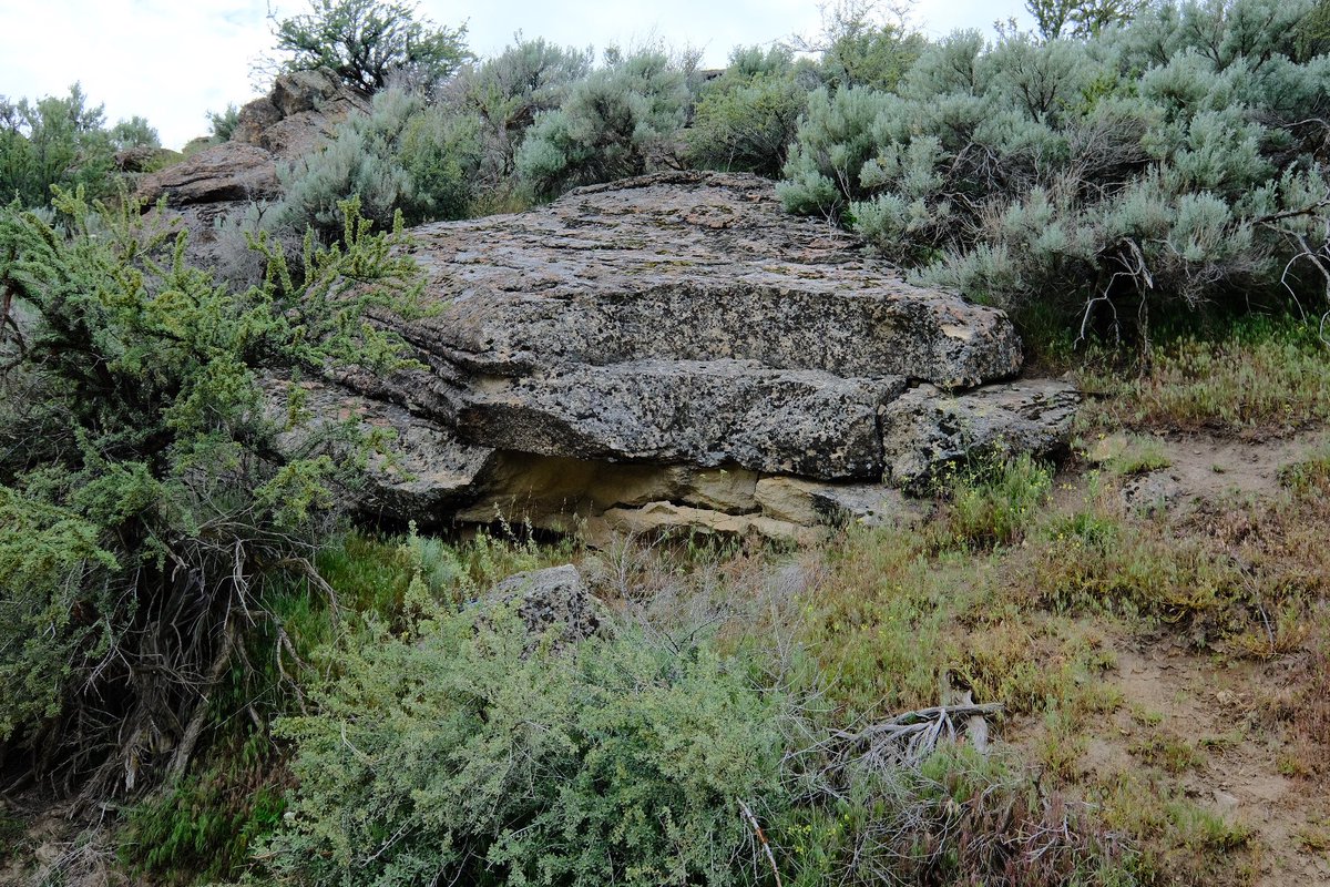 Jeremy M. Viveros (@jeremymviveros) on Twitter photo 