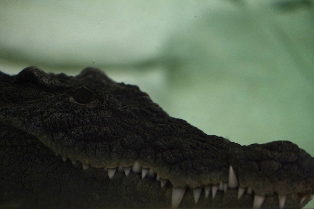 Jeremy M. Viveros (@jeremymviveros) on Twitter photo 