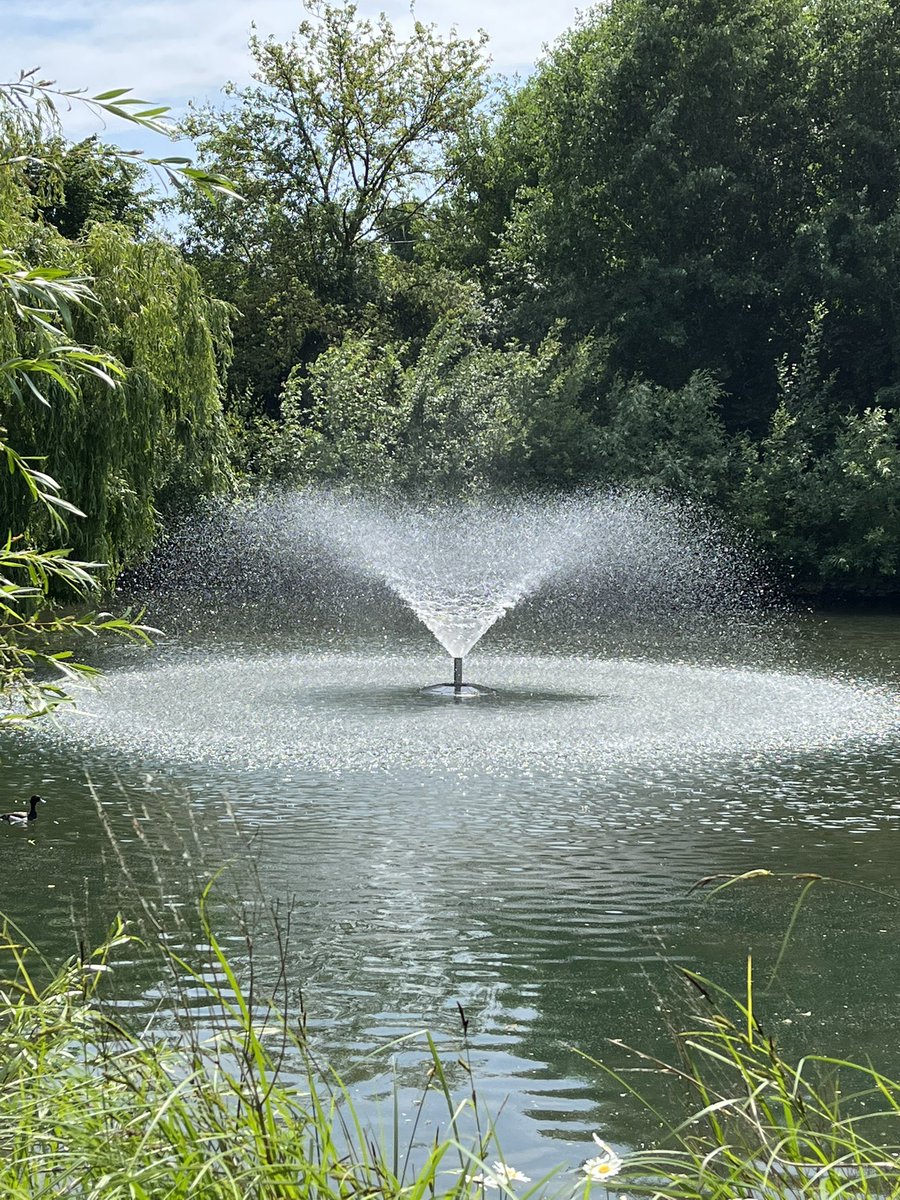 New improved fountains in the Clissold Park ponds?