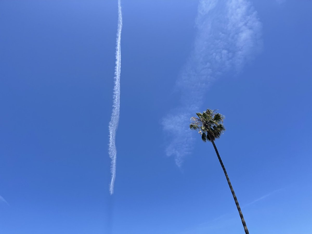 franhealy's tweet image. 