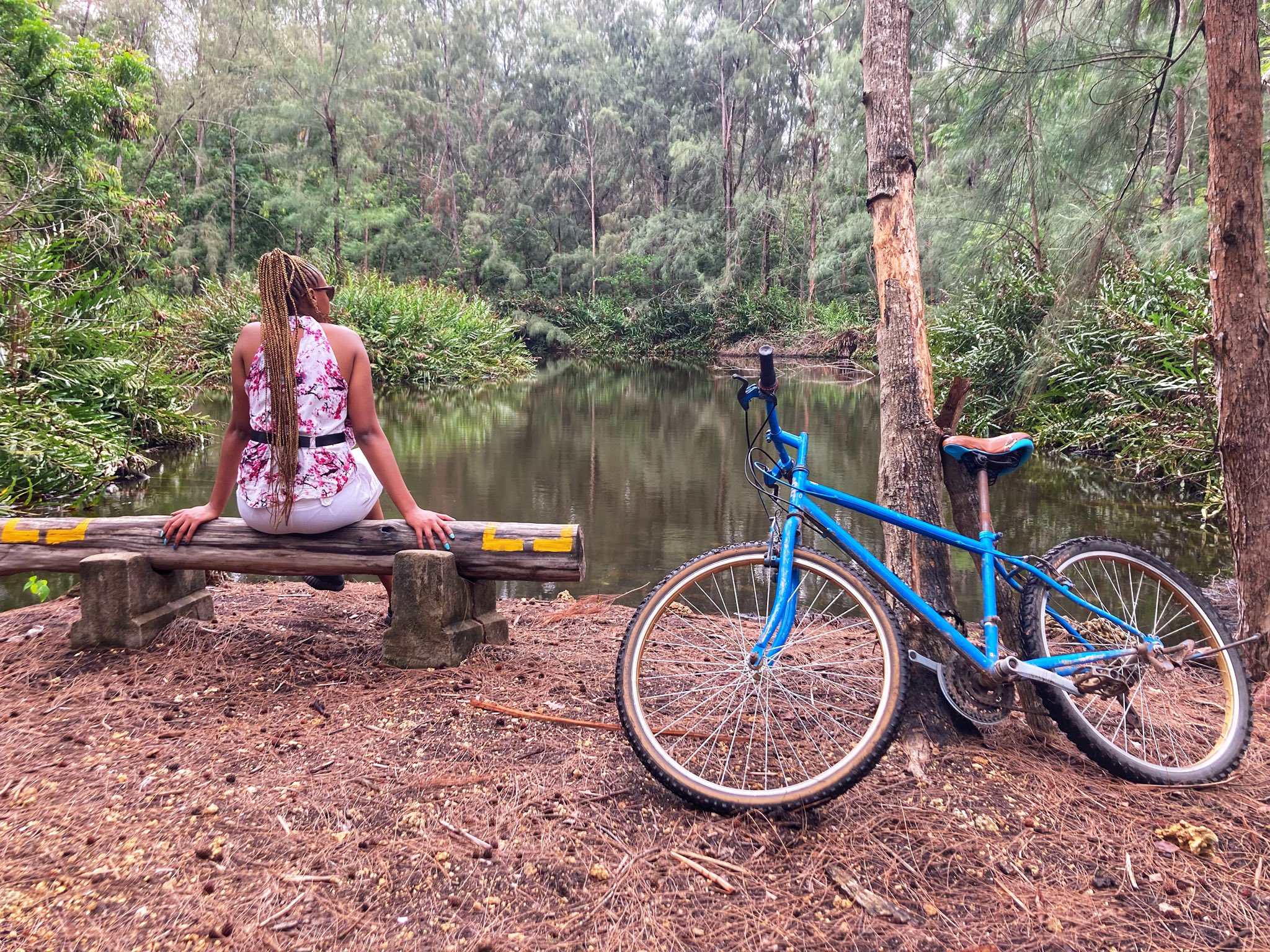 Njeri Mureithi on X: "Mombasa day 1: Cycling at Bamburi Nature trail.  Entrance ksh 250 & Ksh 350 for hiring a bike for an hour for residents/1  #tembeakenya #magicalkenya https://t.co/SuCEzVFWA6" / X