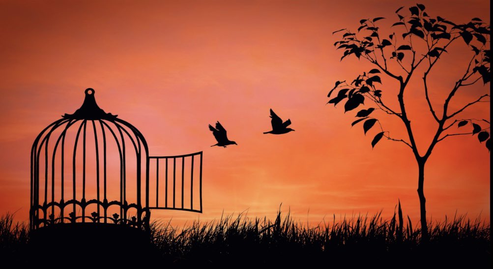 God is Real. Become Muslim. Become free. #Islam