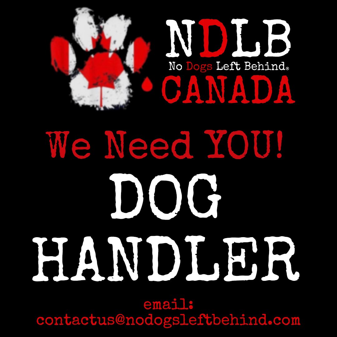 NDogsLB's tweet photo. NDLB Canada Safehouse is hiring! Experienced dog handlers needed! Live in the Toronto area, have your own car and want to work on our team? Full and part time positions available! Send your resume to contactus@nodogsleftbehind.com
#NoDogsLeftBehind
#workwithdogs
#doghandler https://t.co/2yHtVSjZdt