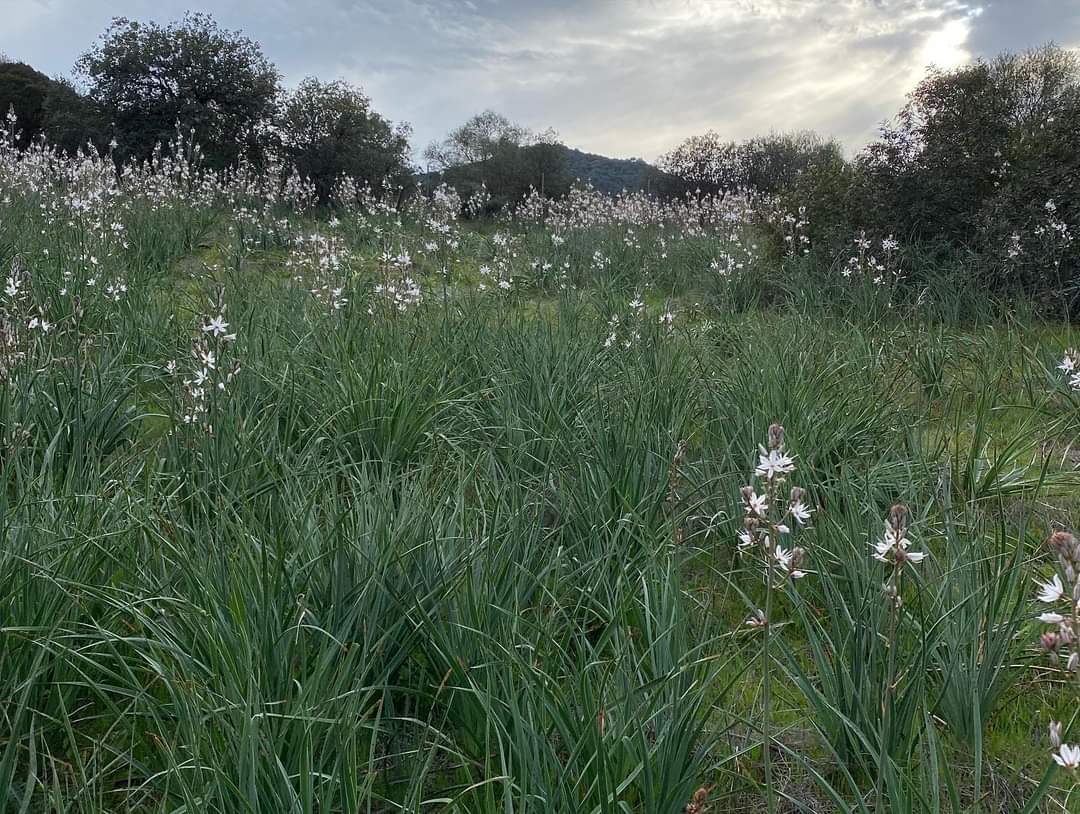 biodiverxa tweet media