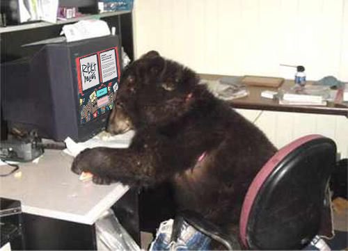 WE FOUND THIS MOFO IN OUR SERVER ROOM. ATE SOME RIGS. 

REVEAL TO COME WITHIN THE HOUR. HANG ON TO YOUR NUTS.

🪧🪧🪧
😭🤬😵‍💫