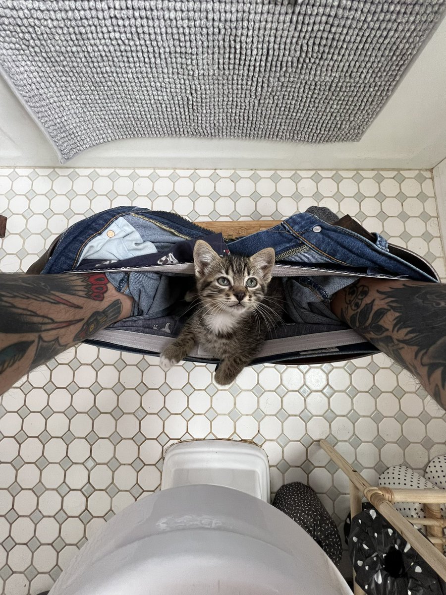 artpm's tweet image. Poop pal or bathroom bud?