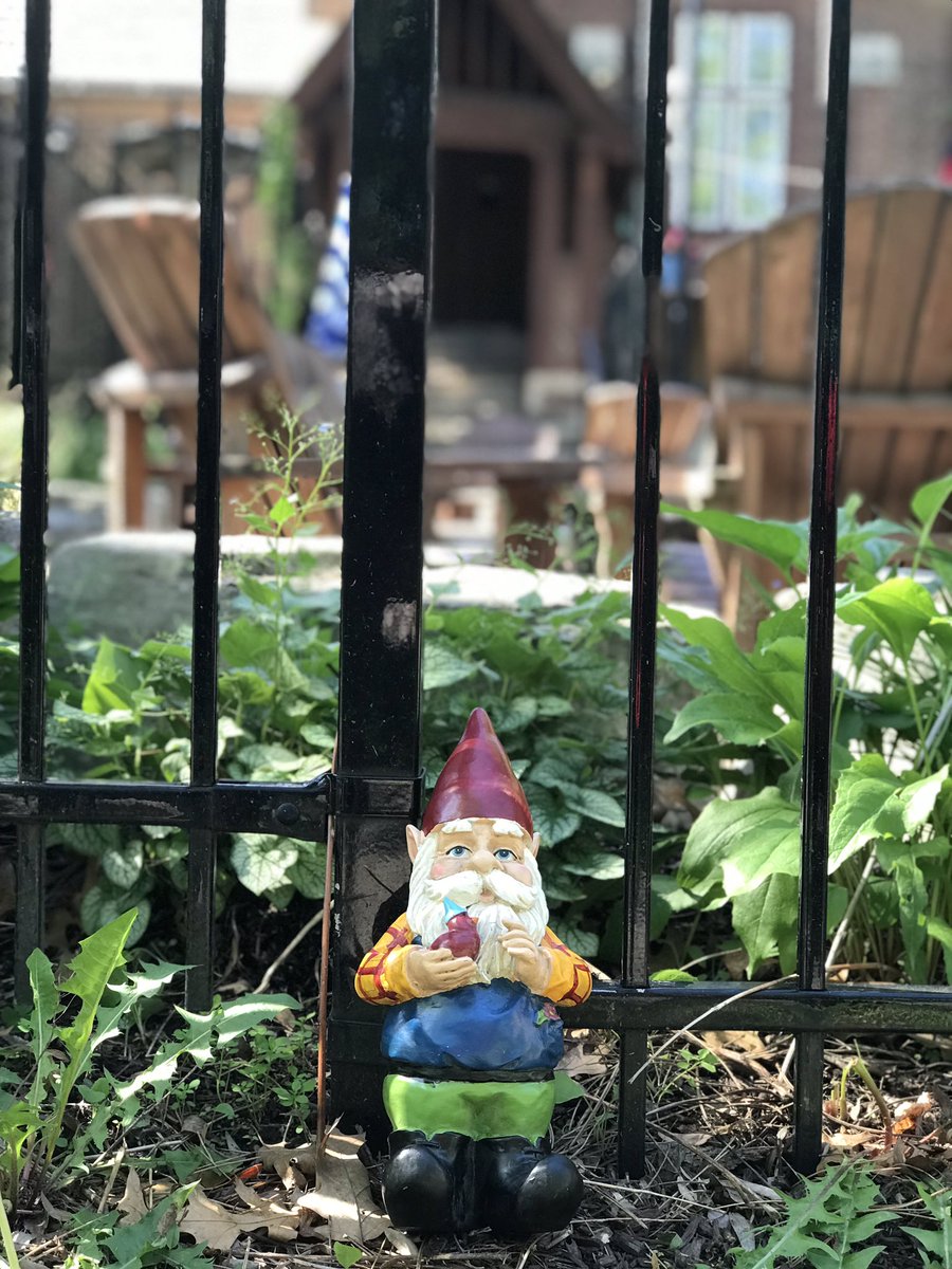 Deidre (Dee) Henne tweet media