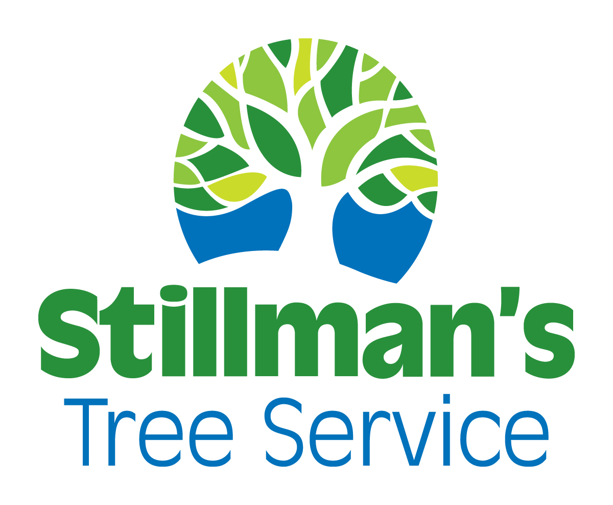 StillmansTree's tweet image. You can rely on Stillman&apos;s Tree Service. Call (941) 799-2222. #StillmensTreeService #TreeTrimmer  #TreeTrimming, #TreeRemoval #TreeCutting  🌳
